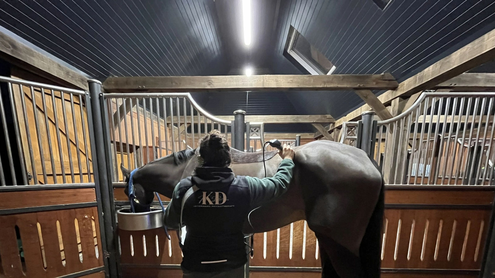 Veterinary physiotherapist caring for a horse
