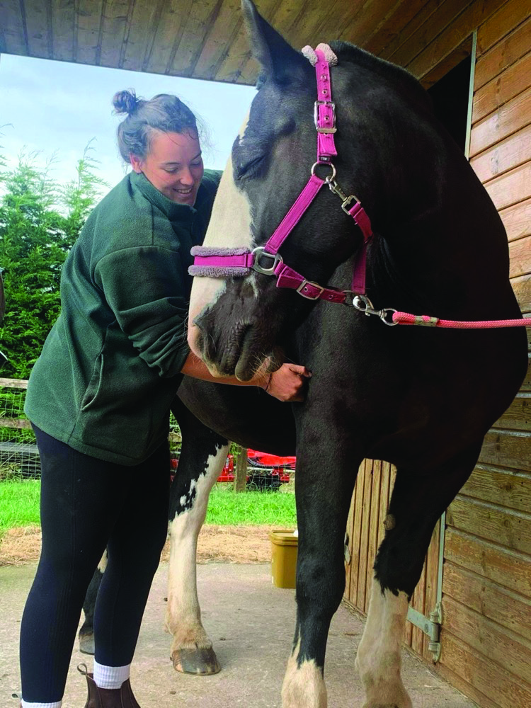 Kate assessing a horse on the yard