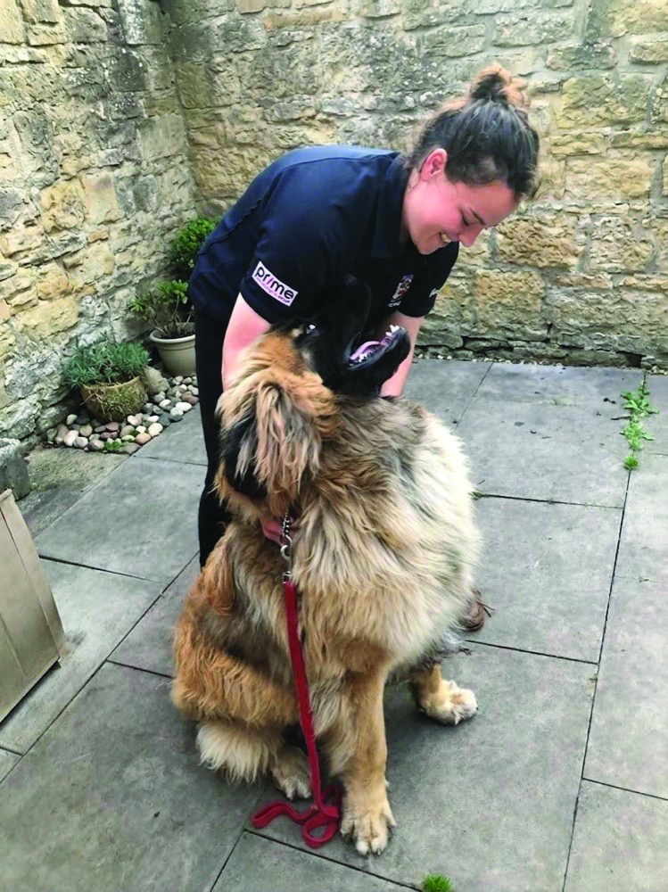 Kate treating a large-breed dog